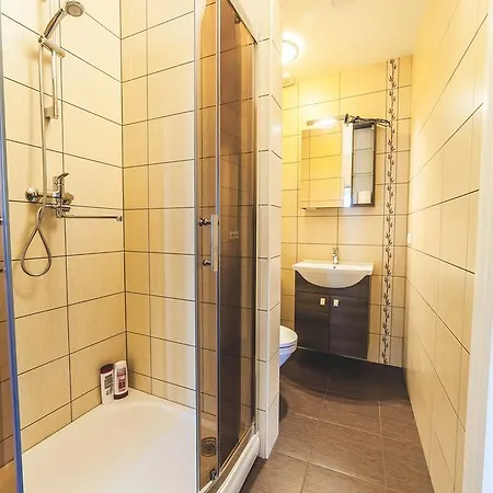 Apartment Miesnieku Old Town